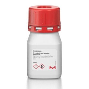 Trypsin from porcine pancreas