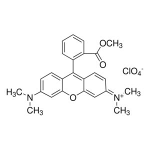 Tetramethylrhodamine methyl ester perchlorate