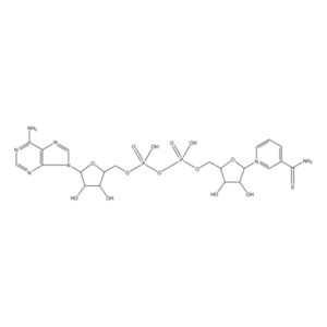 Thionicotinamide adenine dinucleotide
