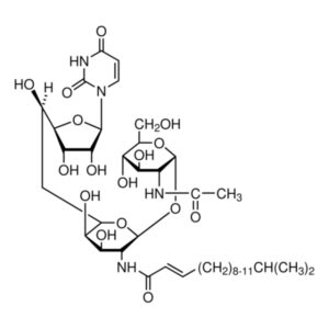 Tunicamycin from Streptomyces sp.