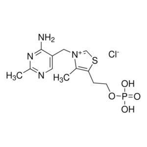 Thiamine monophosphate chloride dihydrate