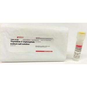 Thymidine 5′-triphosphate sodium salt solution