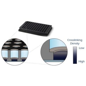 TrueGel3D® HTS Hydrogel Plate