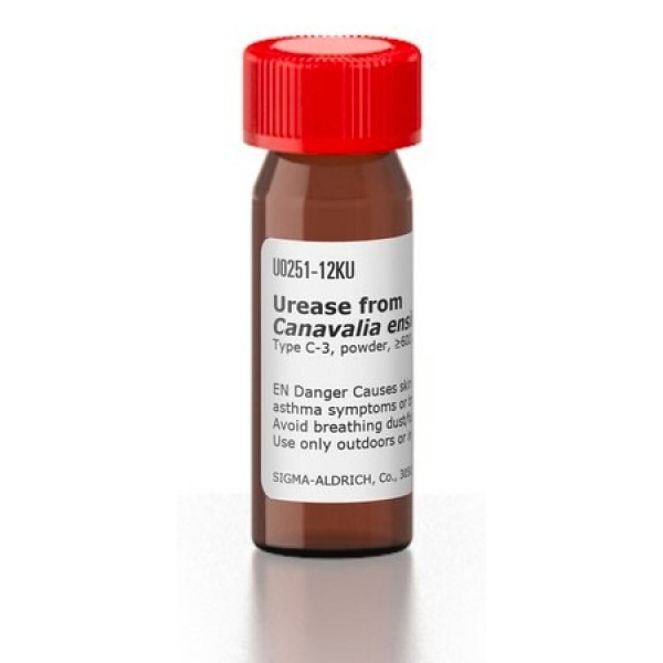 Urease from Canavalia ensiformis (Jack bean)
