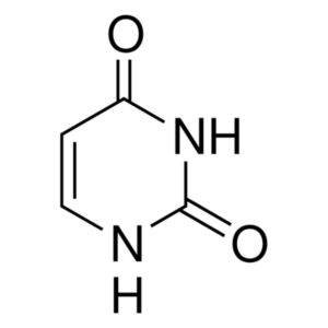 Uracil