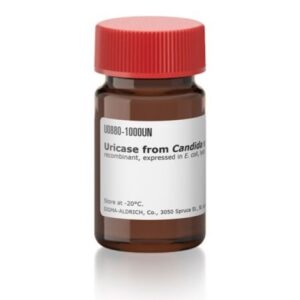 Uricase from Candida sp.
