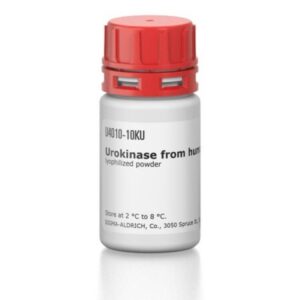 Urokinase from human kidney cells