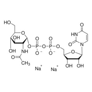 Uridine 5′-diphospho-N-acetylglucosamine sodium salt