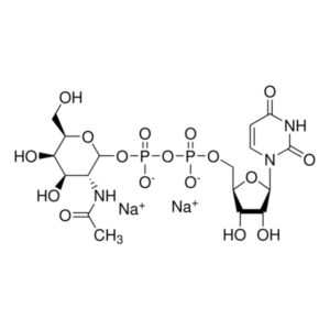 Uridine 5′-diphospho-N-acetylgalactosamine disodium salt
