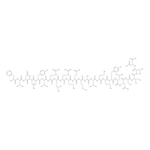 Vasoactive Intestinal Peptide Fragment 6-28 human, porcine, rat