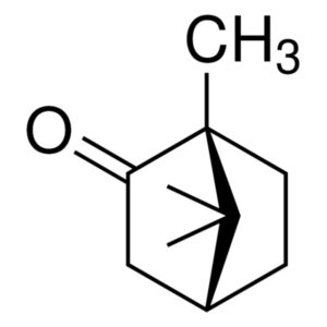 ᴅ-Camphor