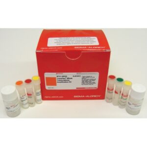 TransPlex® Whole Transcriptome Amplification Kit