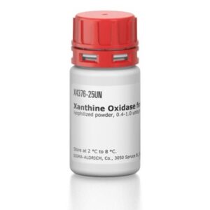 Xanthine Oxidase from bovine milk