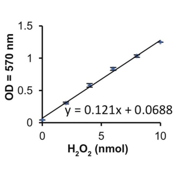 Xanthine Oxidase from bovine milk