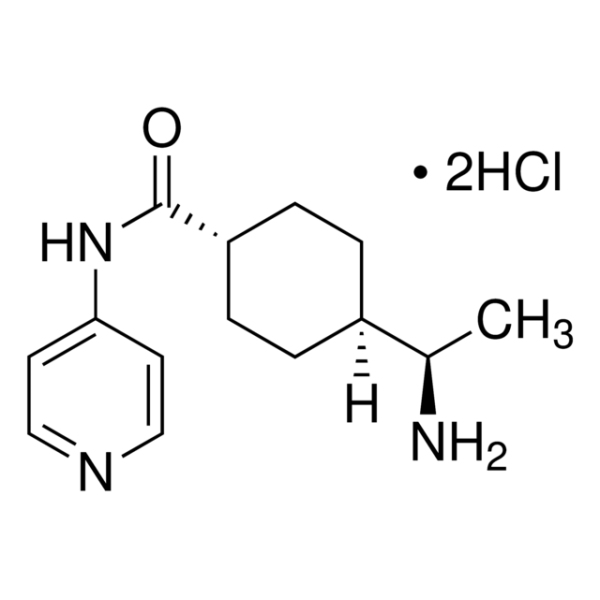 Y-27632 dihydrochloride