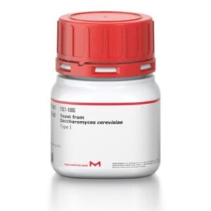 Yeast from Saccharomyces cerevisiae