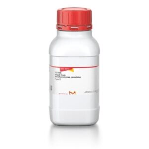 Yeast from Saccharomyces cerevisiae